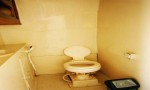 TOILET KM PREDATOR